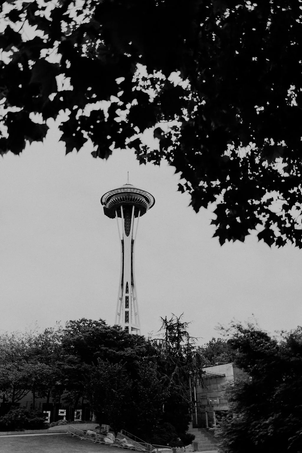 SEATTLE18-2-52.jpg