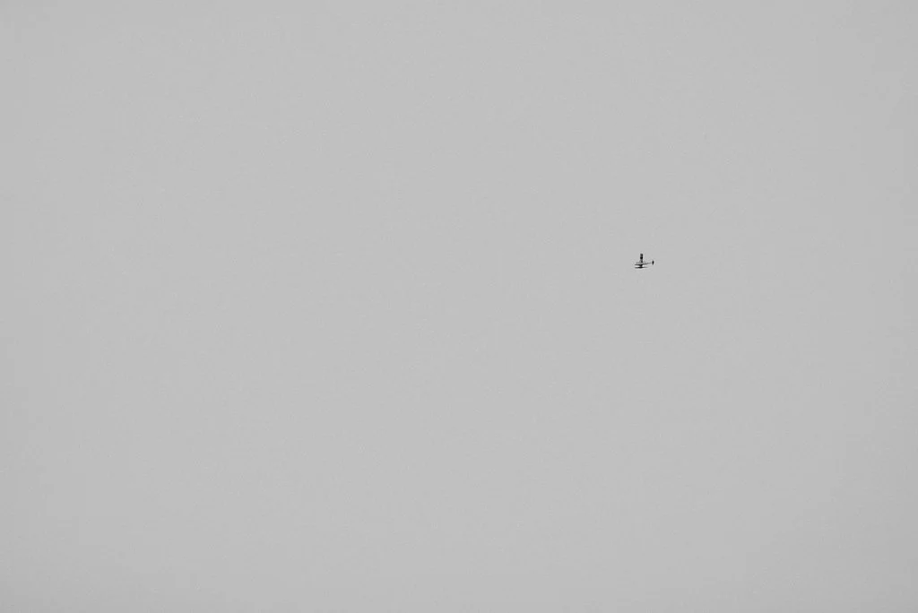 SEATTLE18-9395-2.jpg