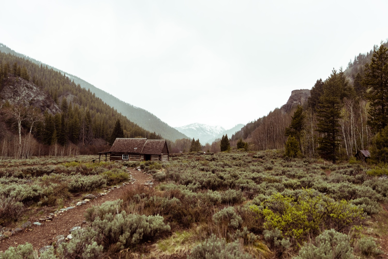 01_REDFISH_Stanley_Idaho_vaca-4150.jpg