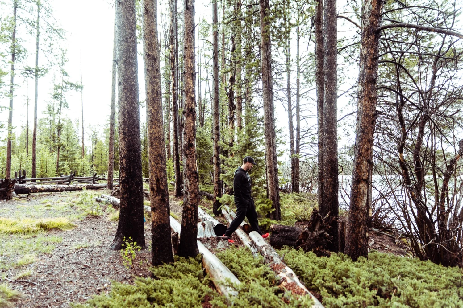 11_REDFISH_Stanley_Idaho_vaca-4213.jpg