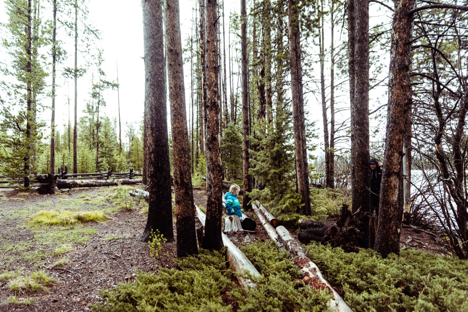 12_REDFISH_Stanley_Idaho_vaca-4214.jpg
