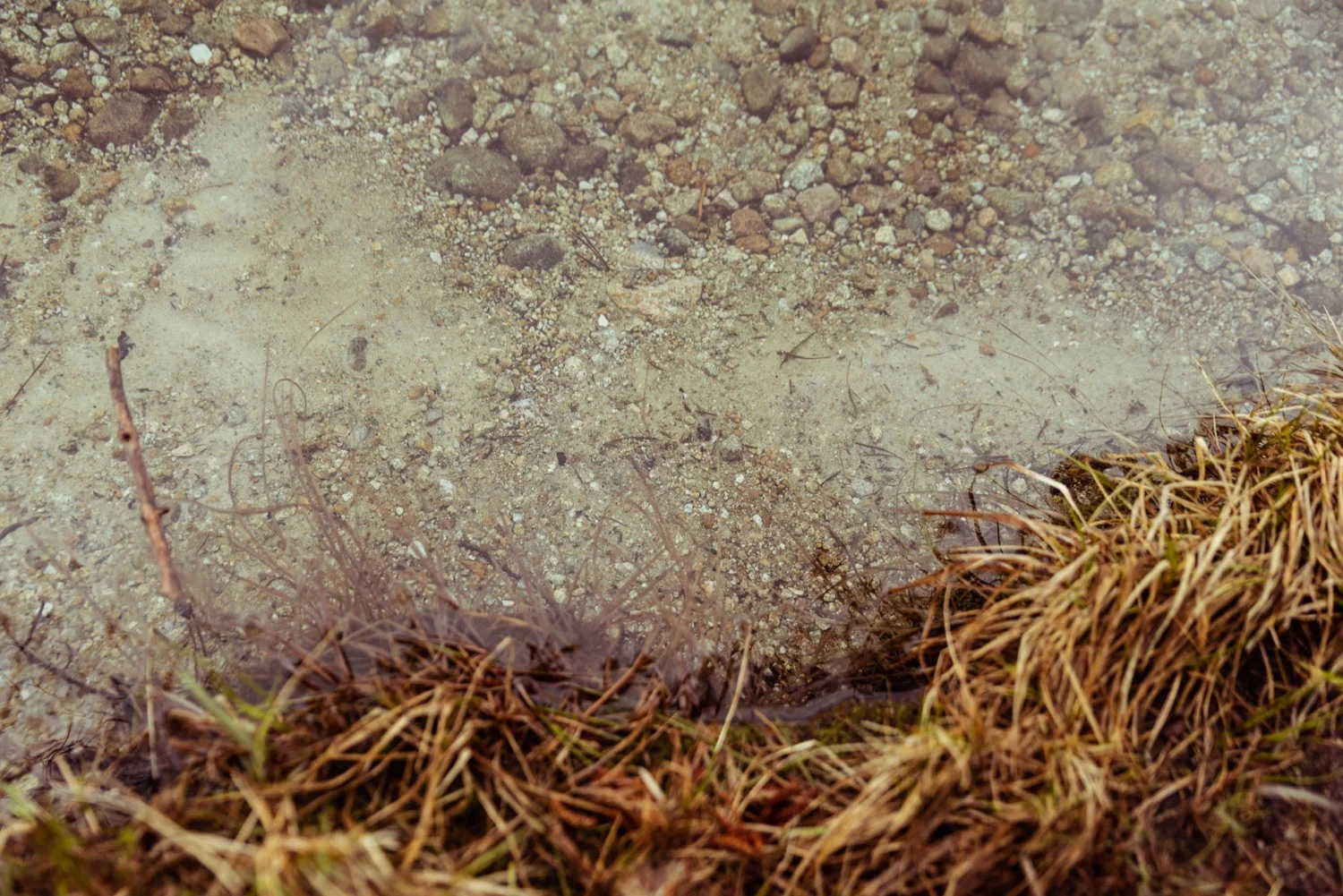 14_REDFISH_Stanley_Idaho_vaca-4243.jpg
