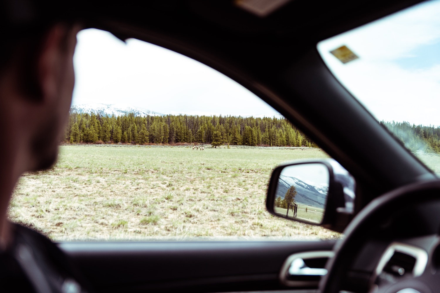 27_REDFISH_Stanley_Idaho_vaca-4323.jpg