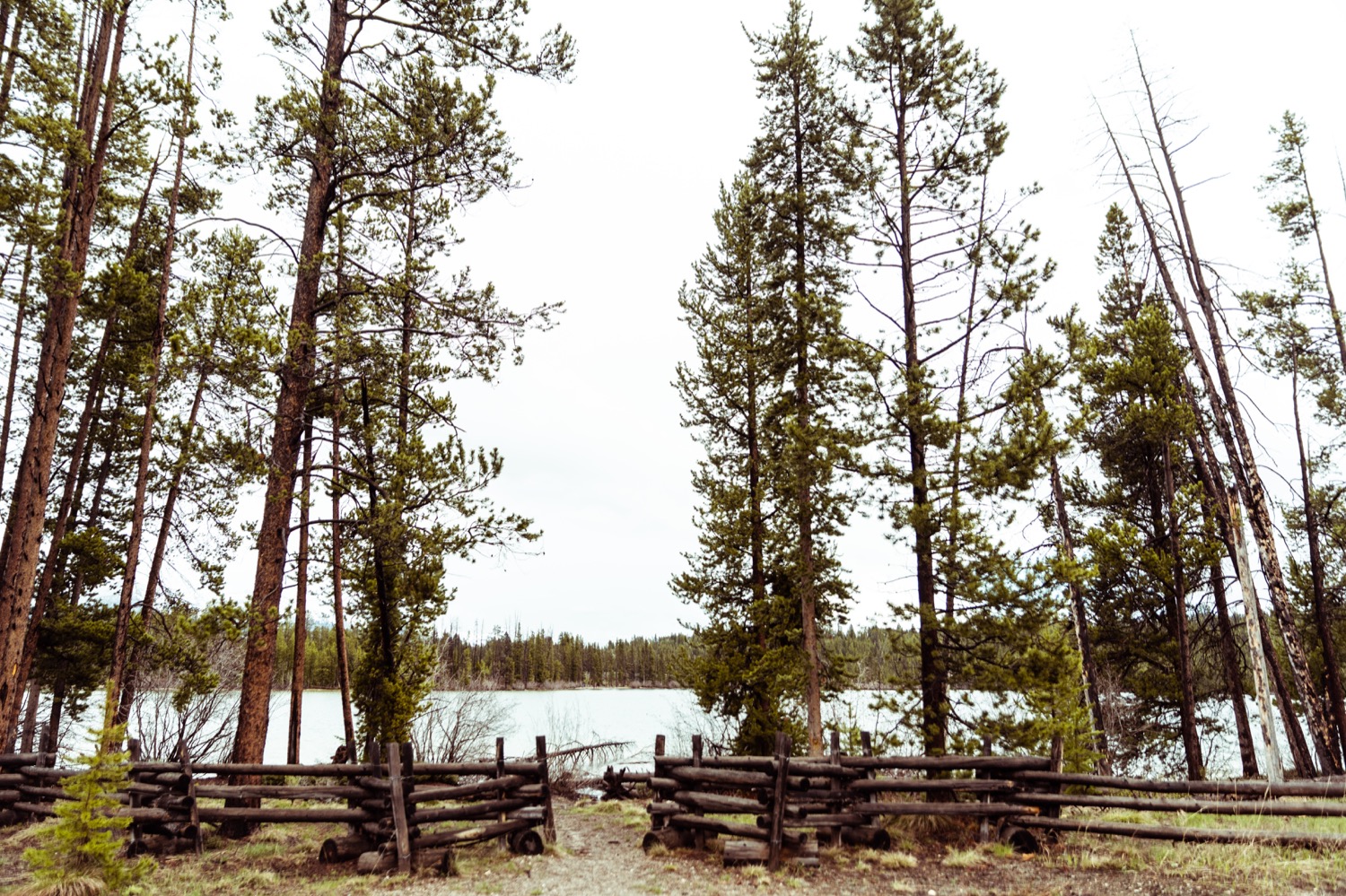 25_REDFISH_Stanley_Idaho_vaca-4317.jpg