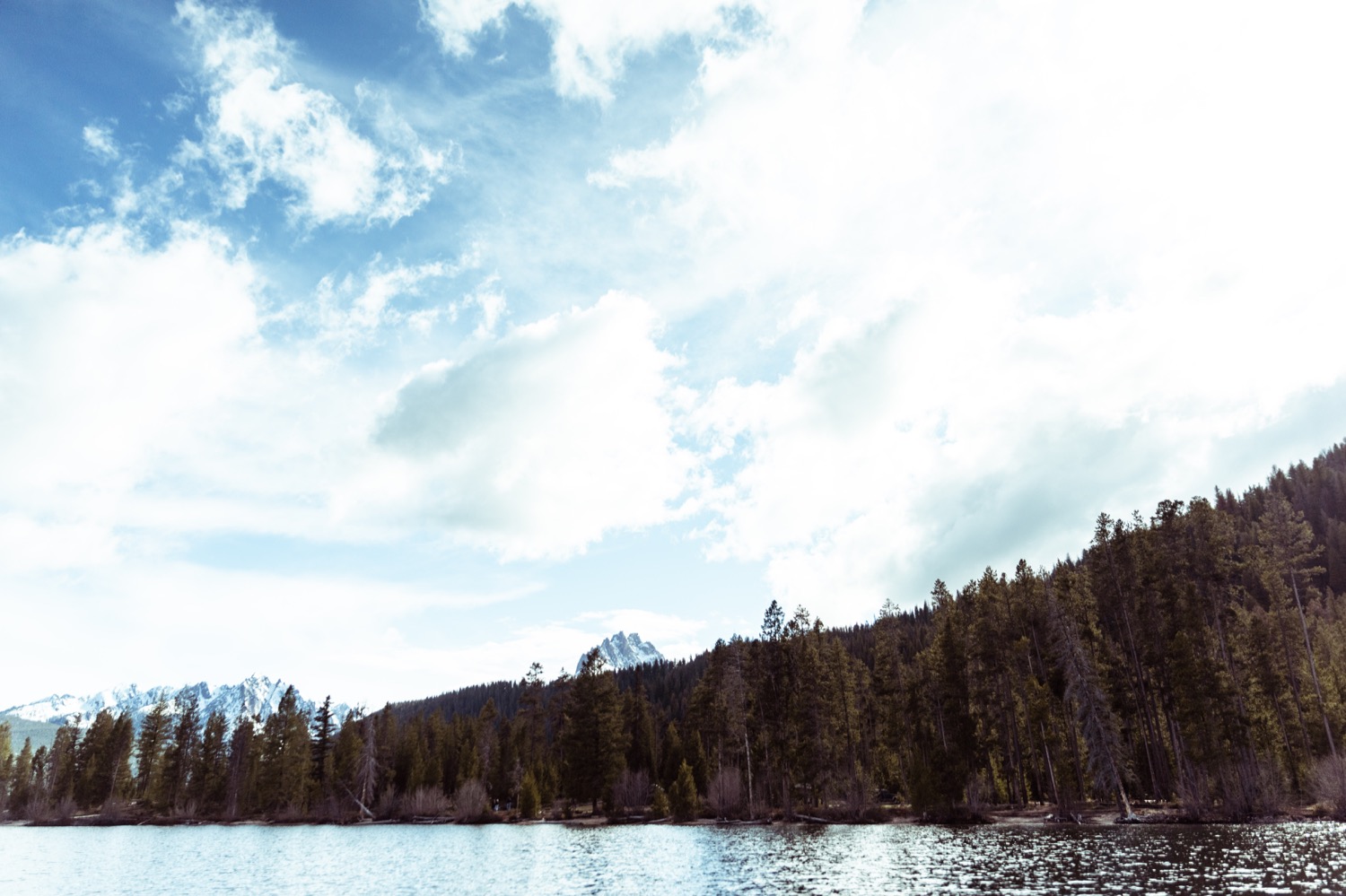29_REDFISH_Stanley_Idaho_vaca-4337.jpg