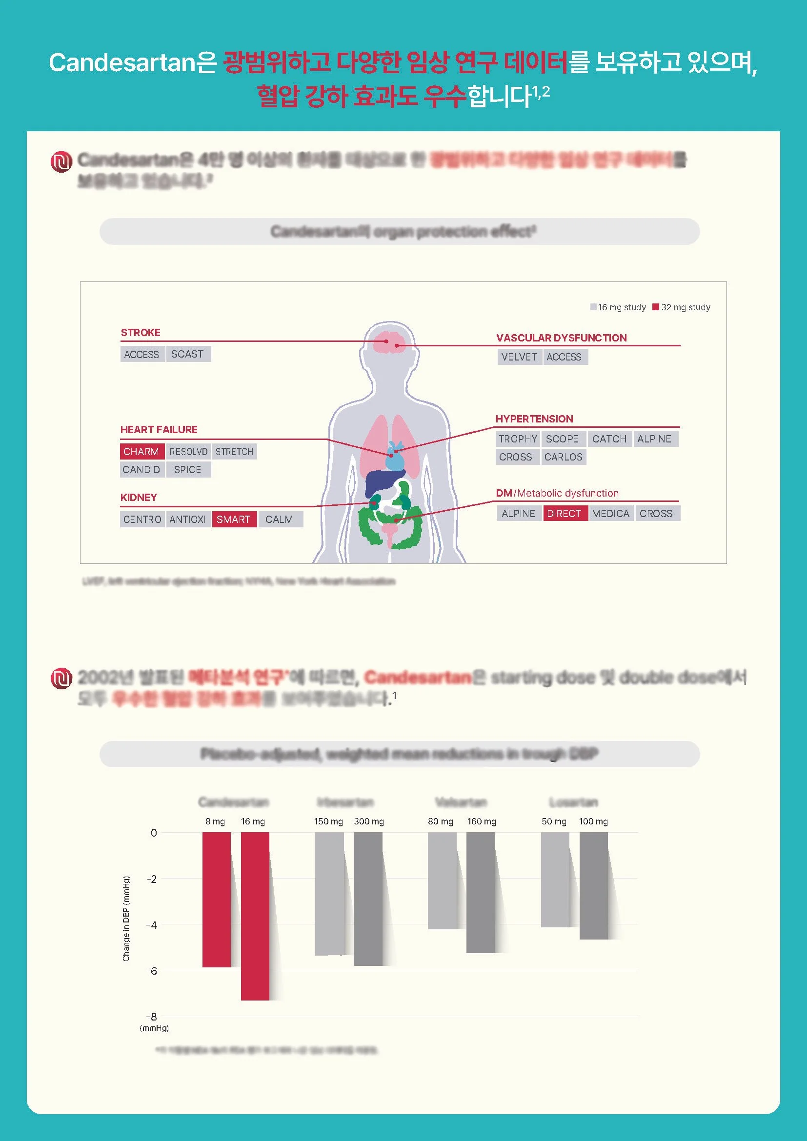 칸데라인 종합브로셔 리뉴얼4_Page_1.jpg