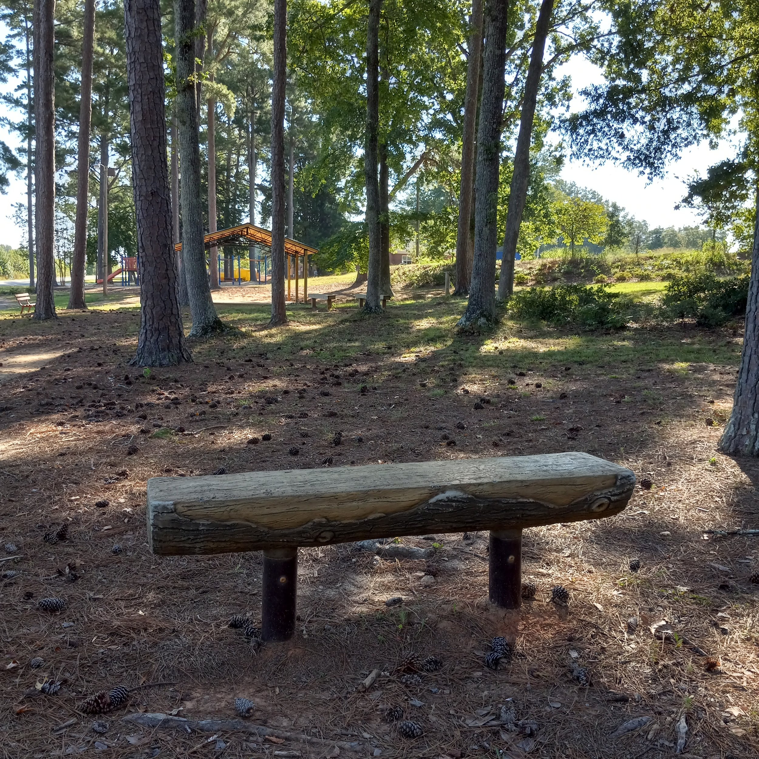 pine haven bench.jpg