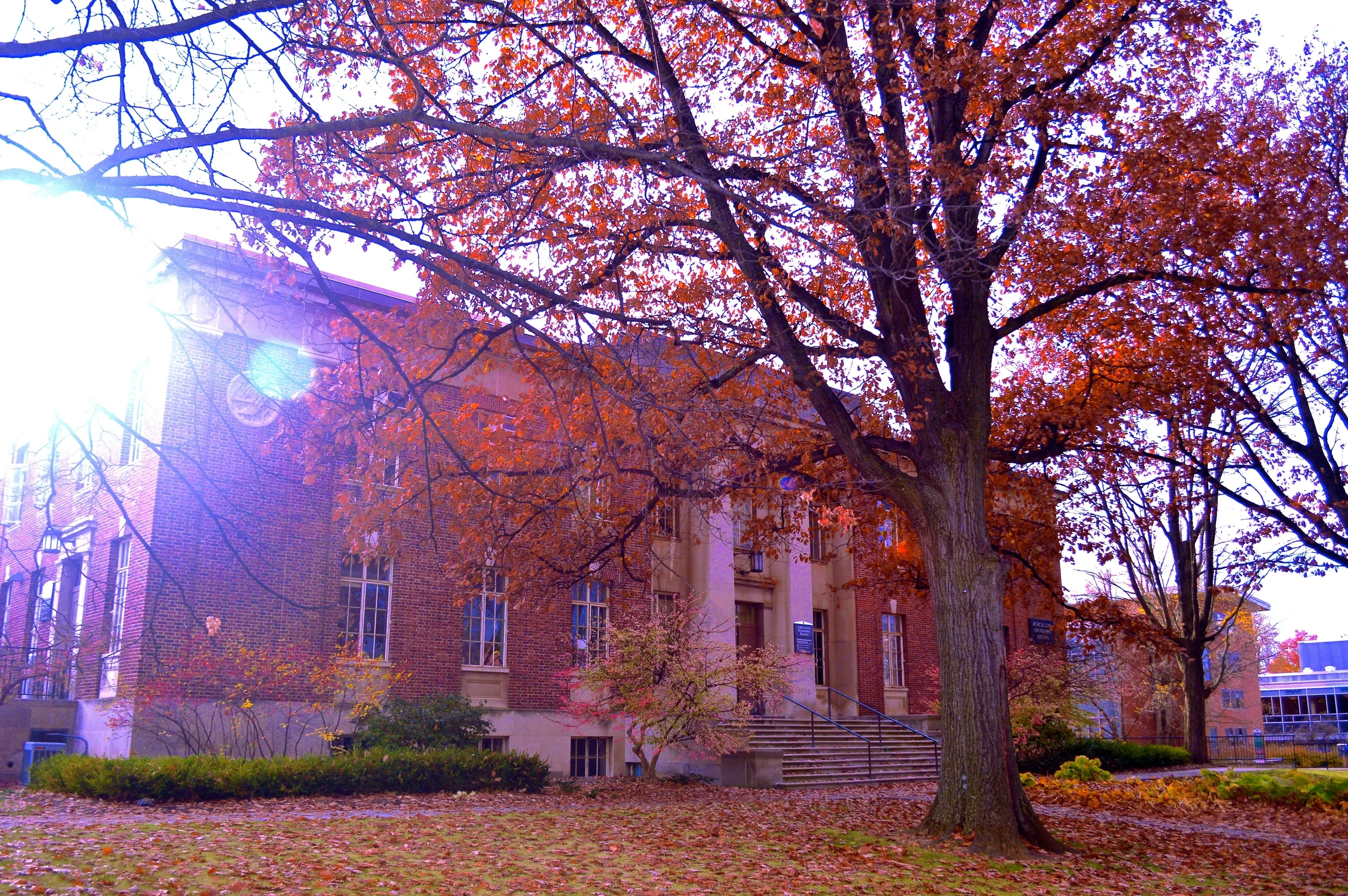 state college