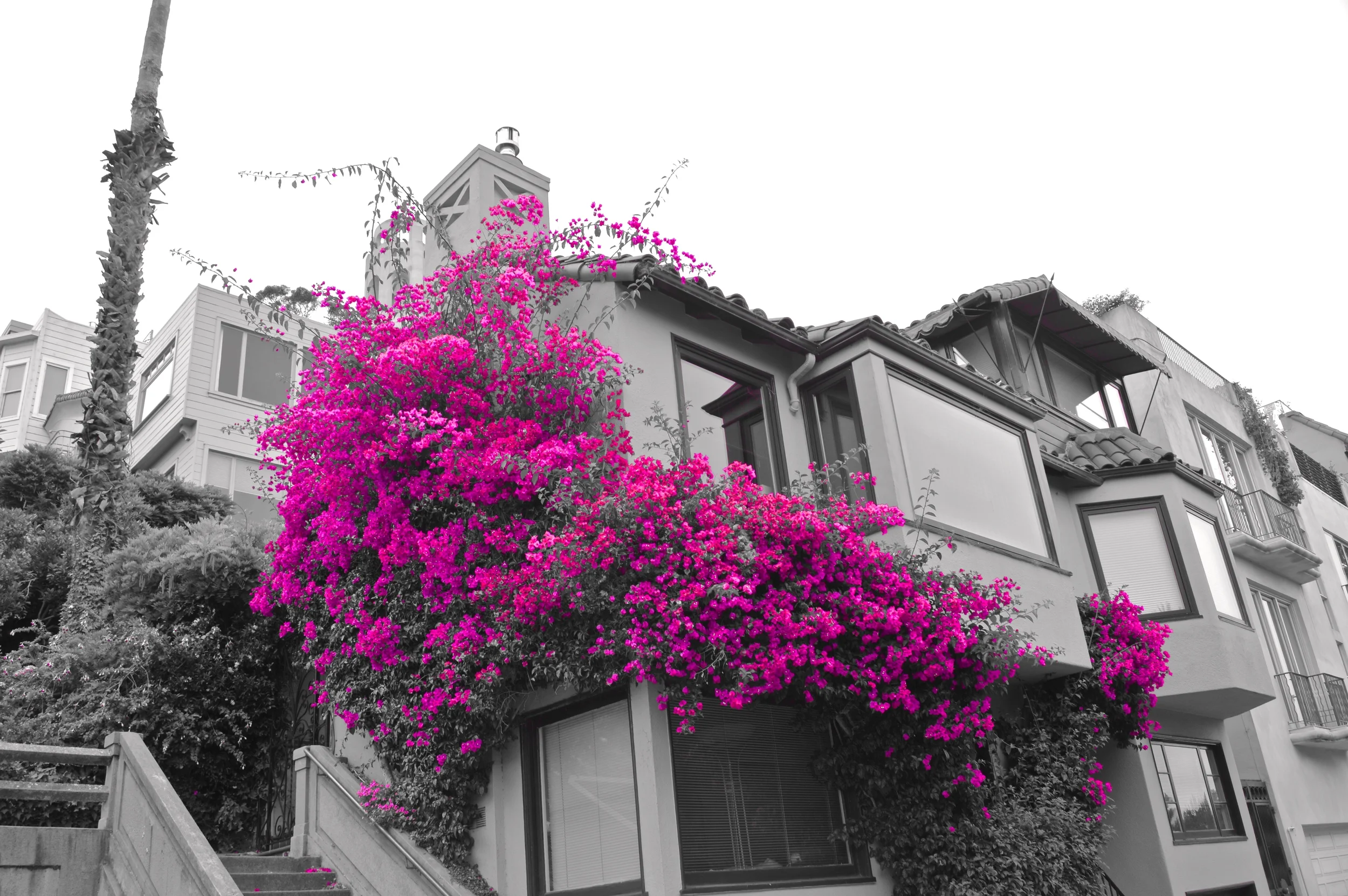 san francisco
