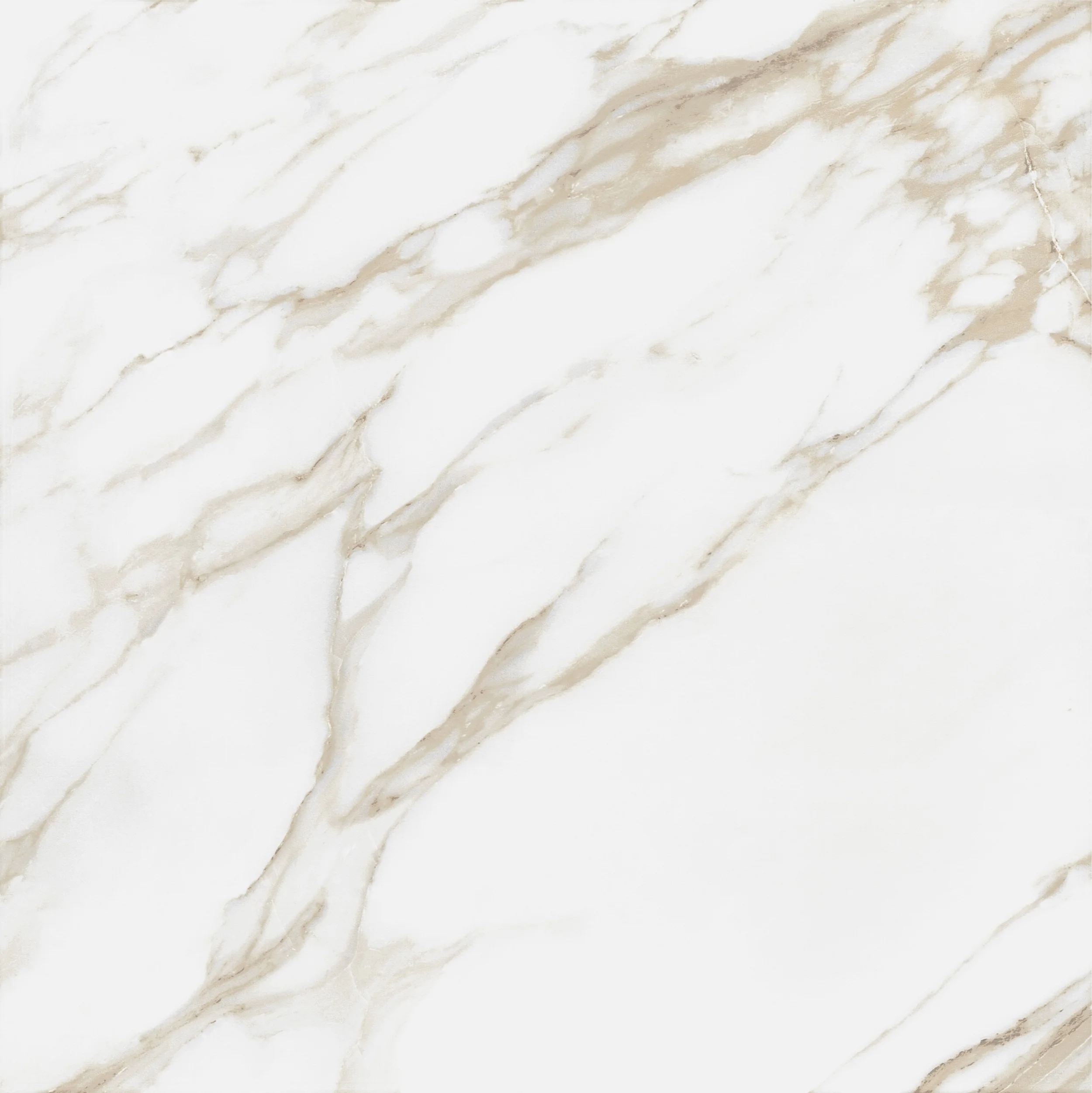 Calacatta Blanco · 60x60