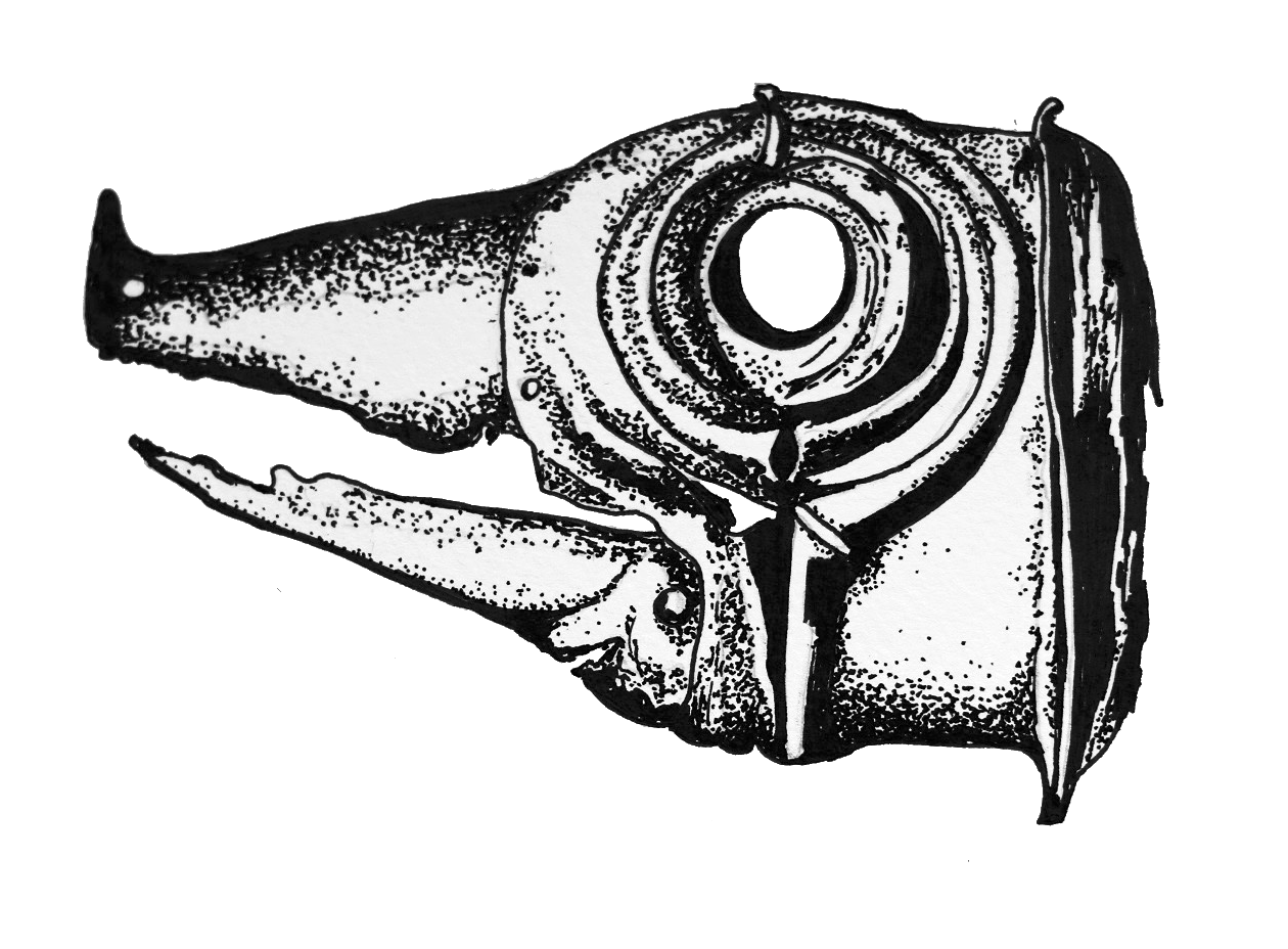chapter_header_002.png
