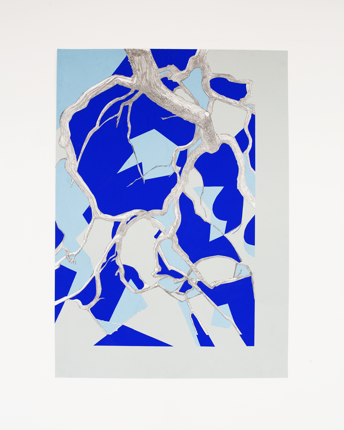 Suki_pic_023.png