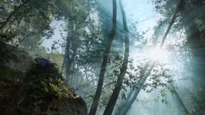 Mountain View - Mountain Park – 2021