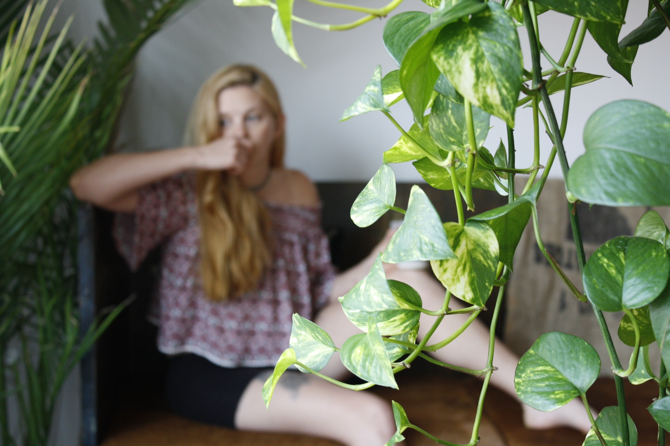 Test shots. 