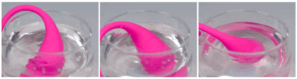 Lush Insert Lush 3 by Lovense Review — Feminist Pleasure Toys