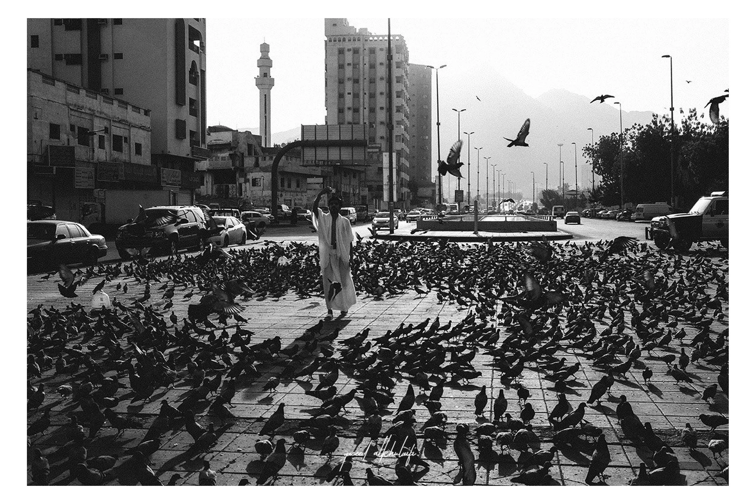 feeding-pigeons-mecca.jpg