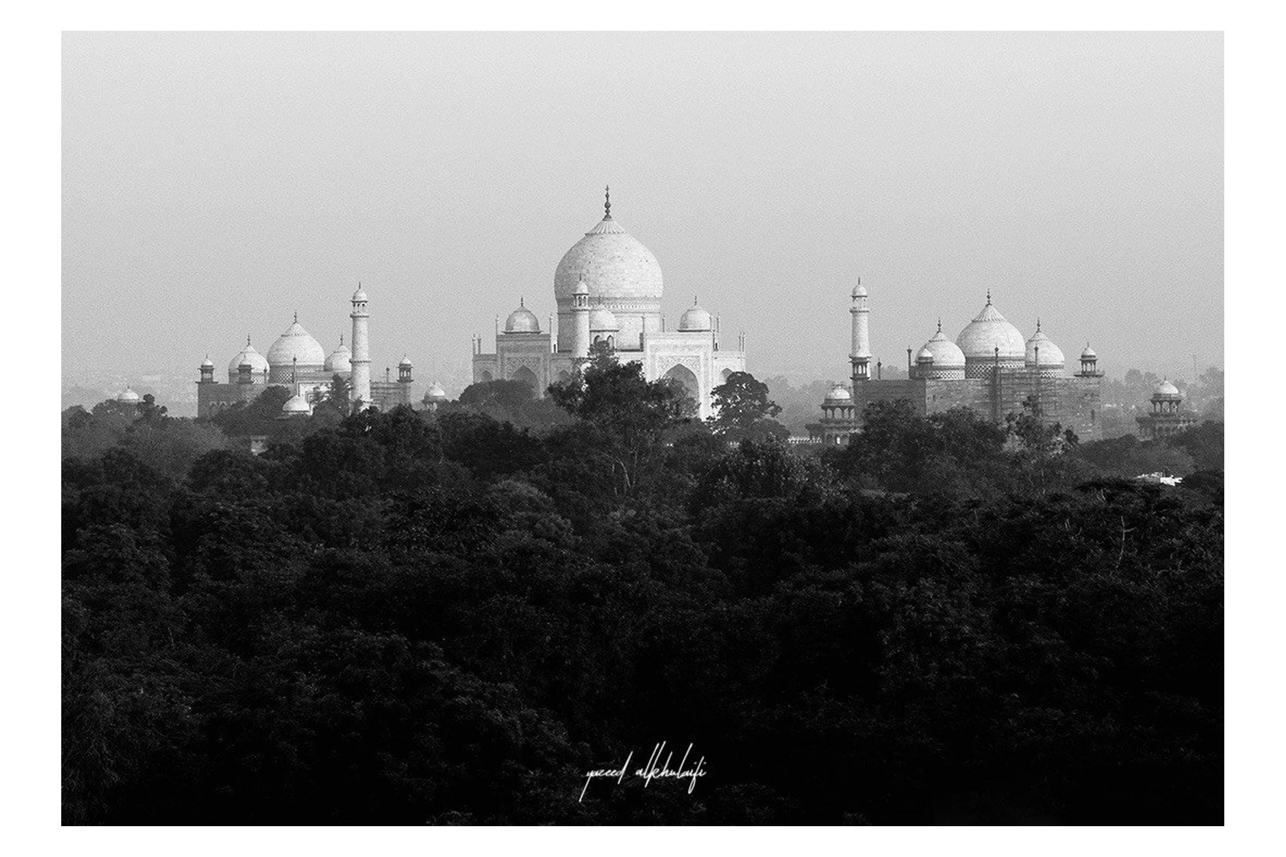 taj-mahal-above-the-trees.jpg