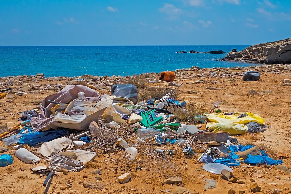 garbage-3552363_960_720.jpg