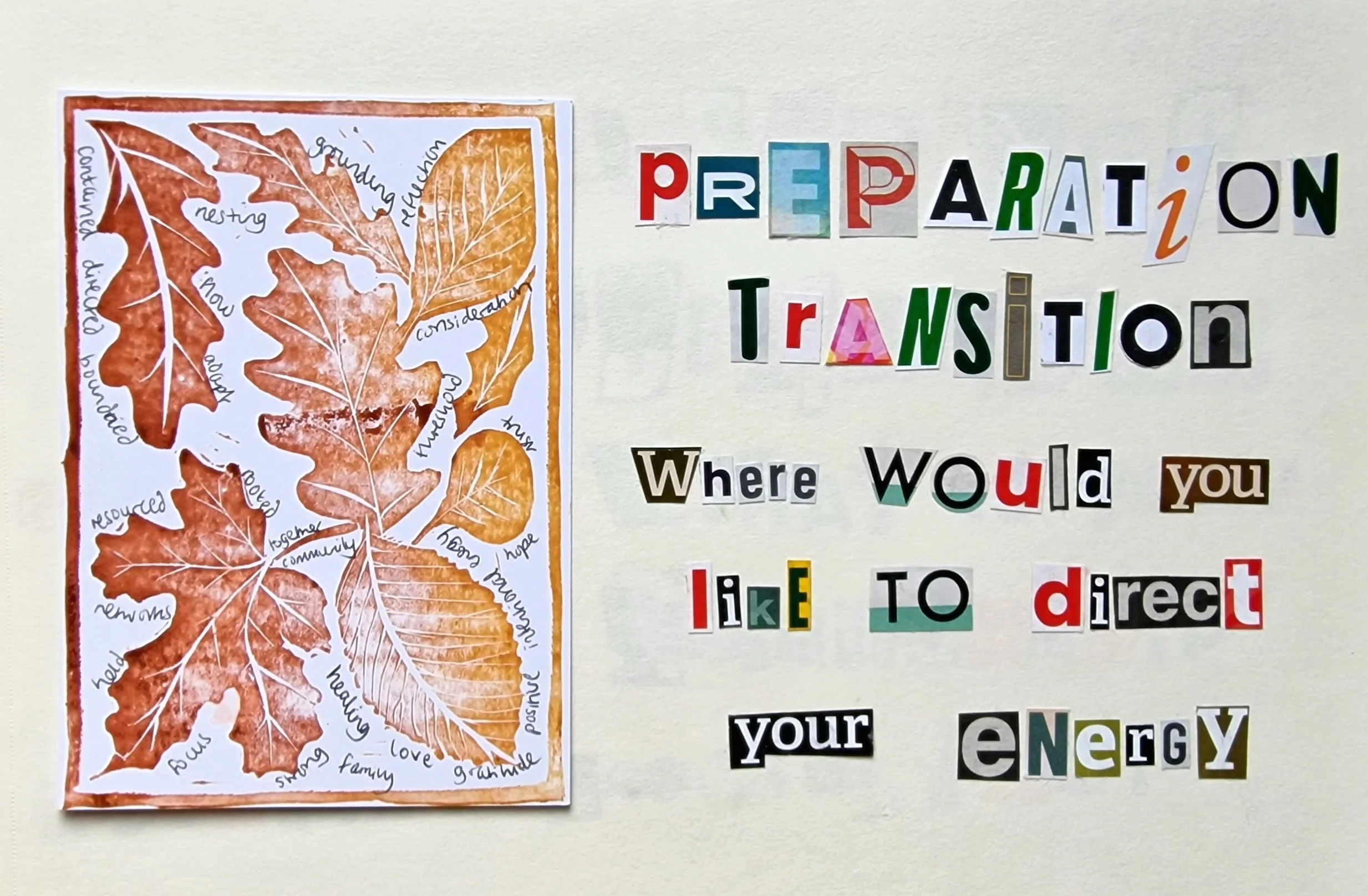 20260214_155903.jpg