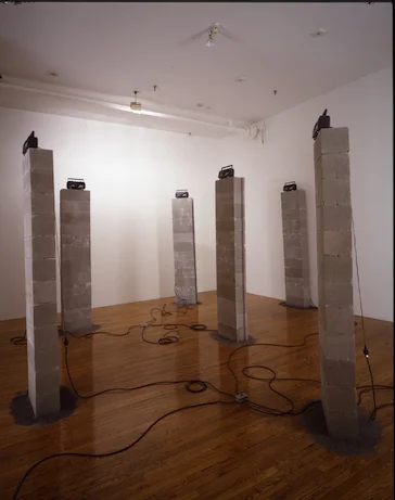 Countdown, (collaboration with Alex Wilson)