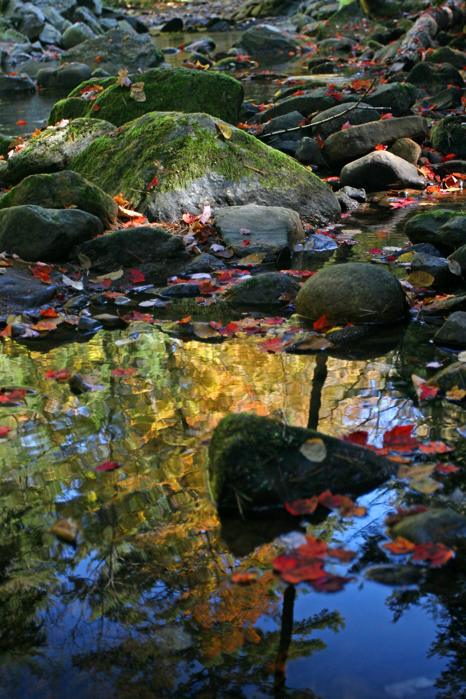 Shelving Rock Stream