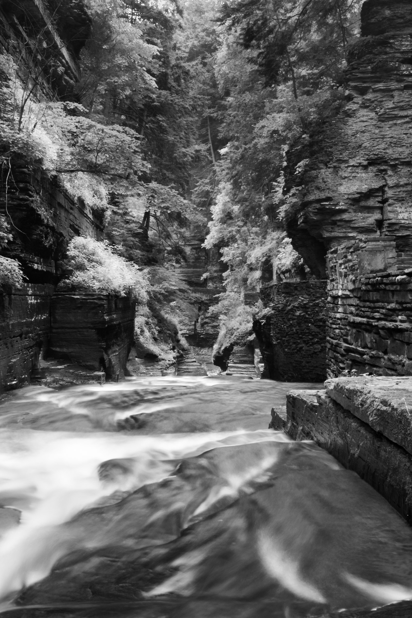 Stream at Robert H. Treman State Park