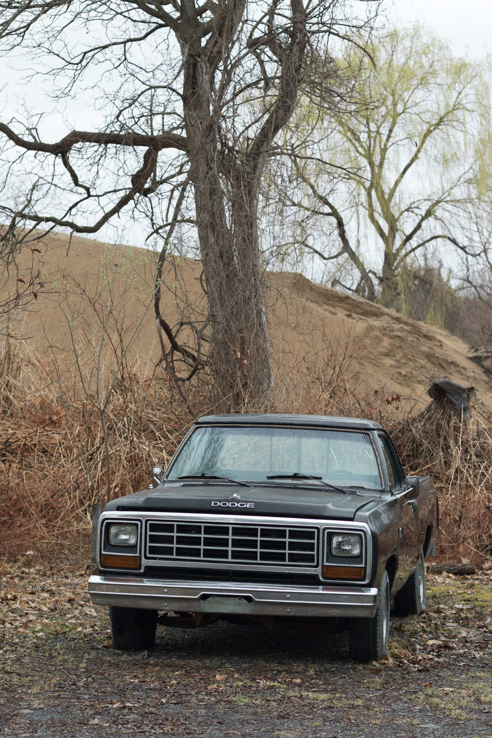 Dodge Pickup