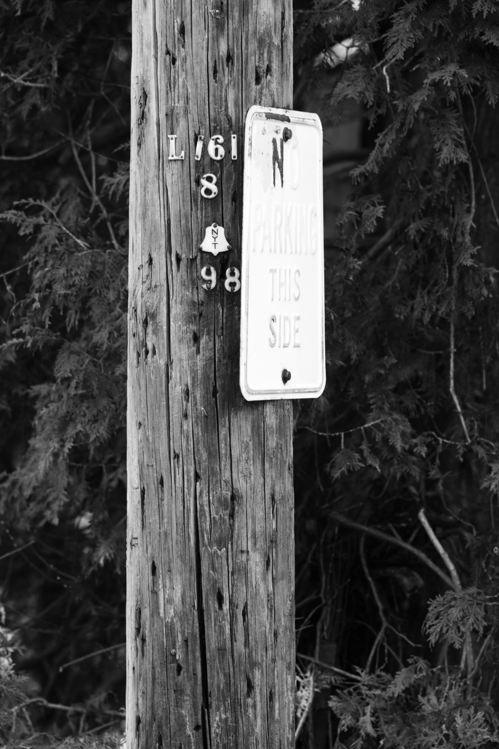 Telephone Pole
