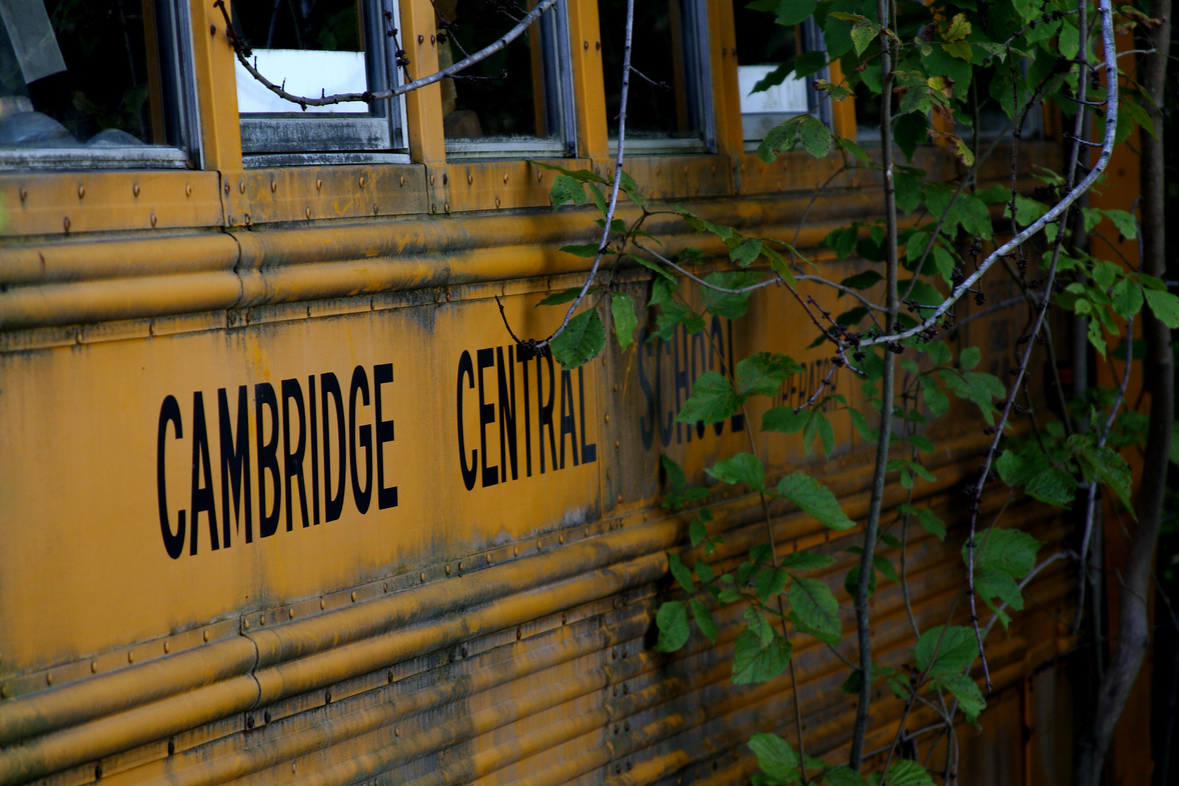 Overgrown Schoolbus