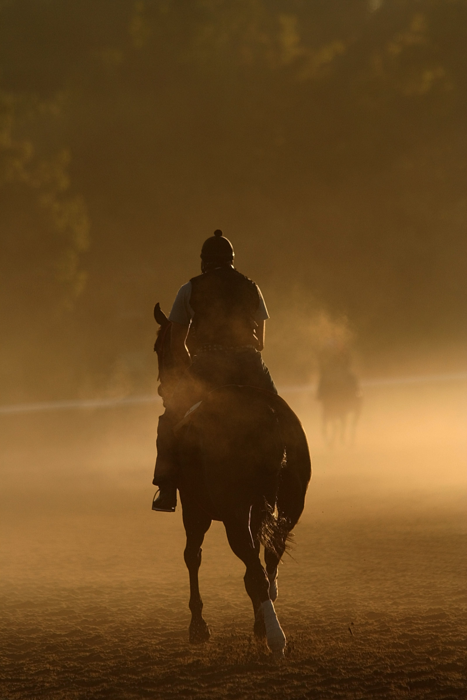 Early Exercise