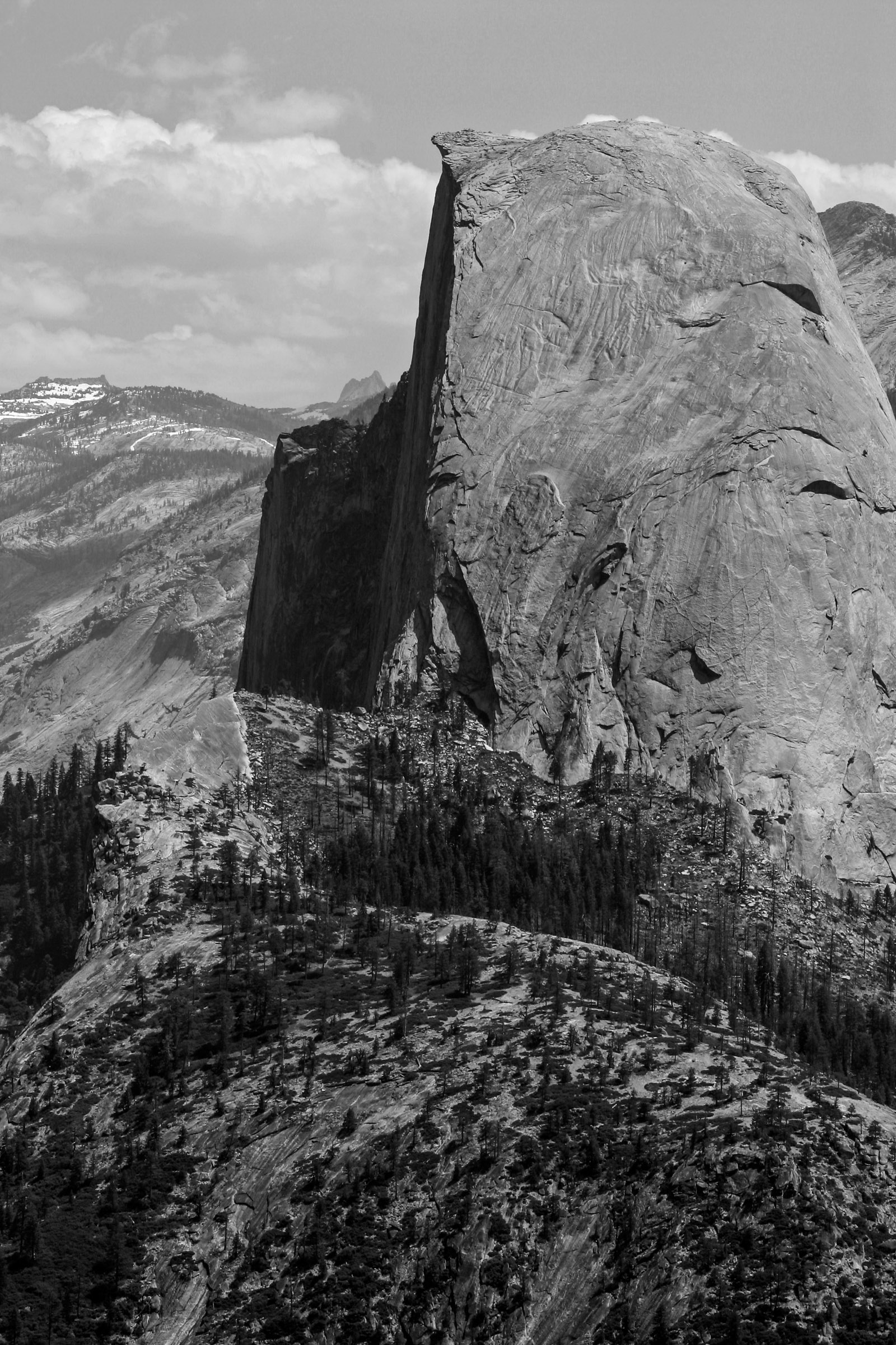 Half Dome | Reid Burchell Photography