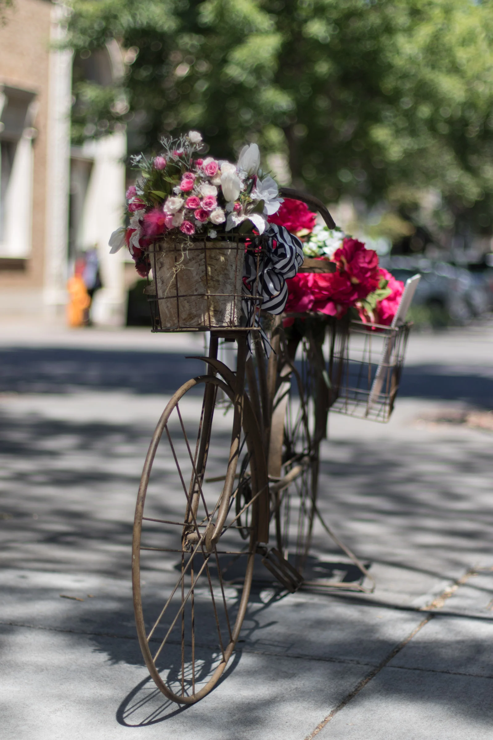 Healdsburg Bicycle