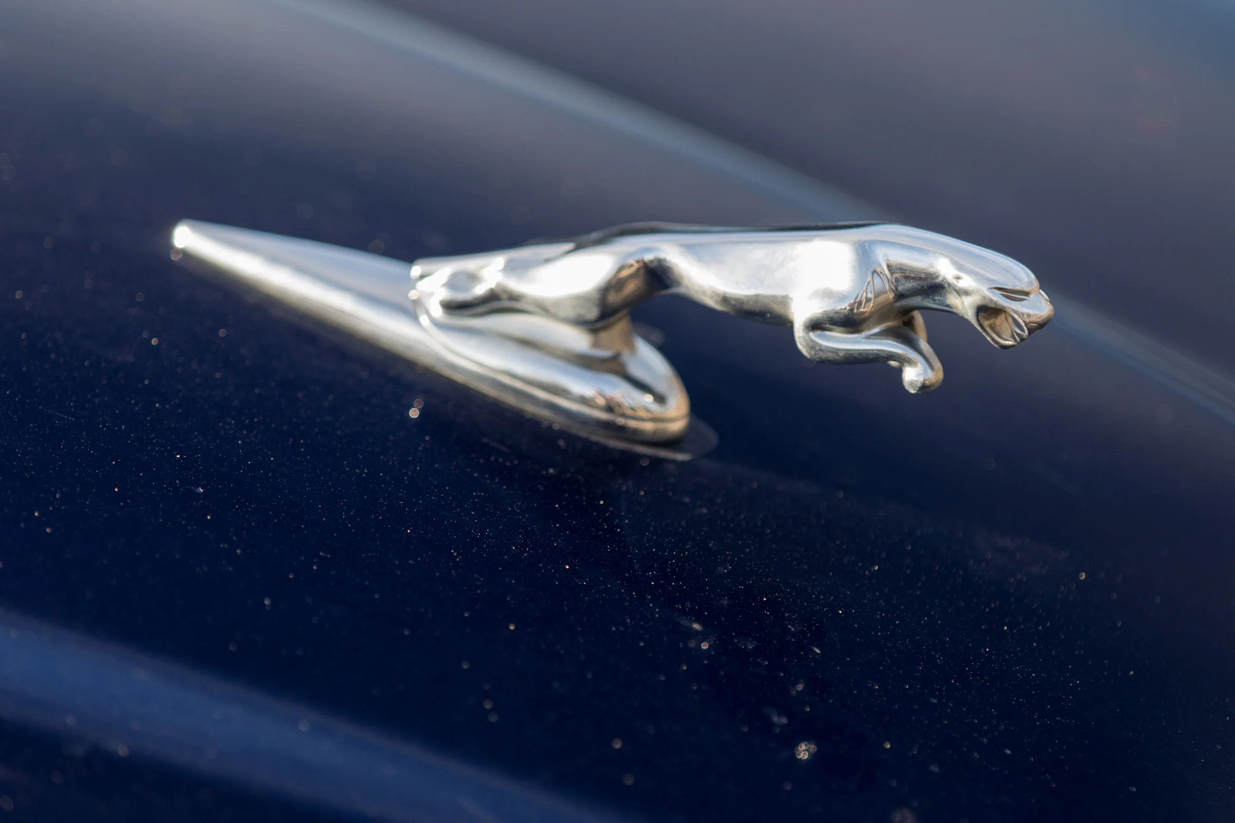 Jaguar Hood Ornament