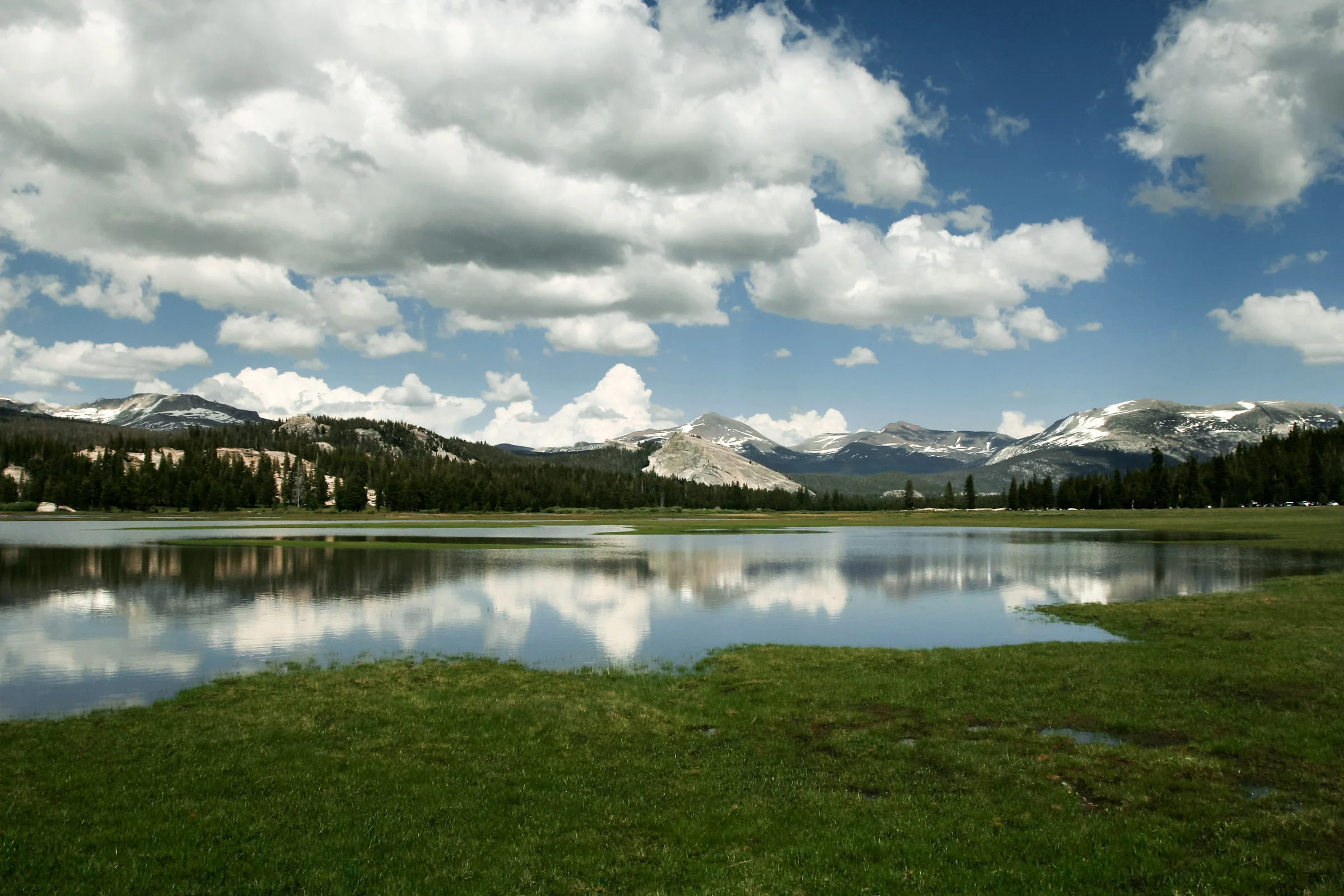 Tuolumne Meadows