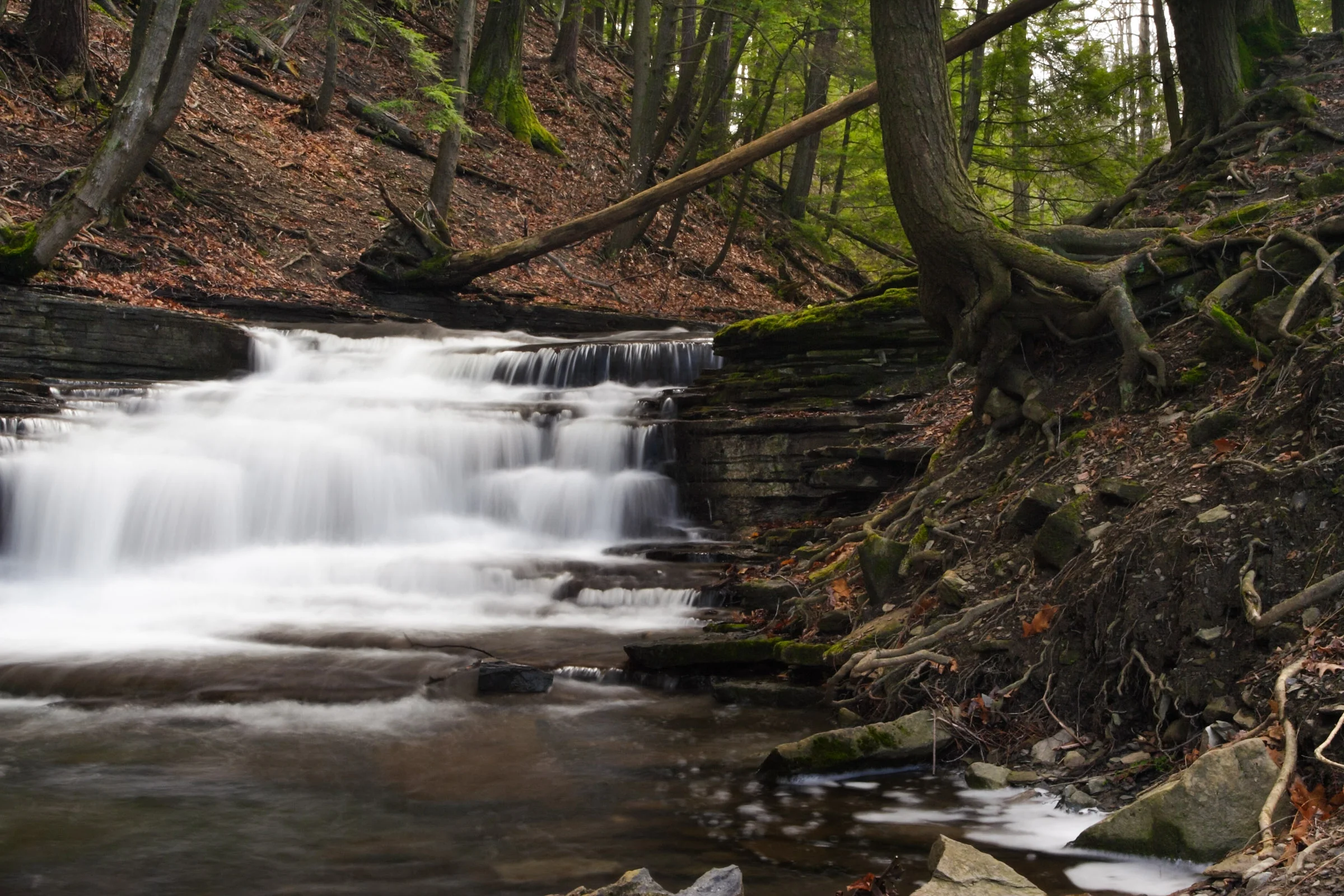 Thatcher State Park Waterfall