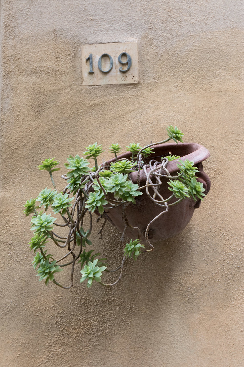 Pienza, Tuscany, Italy | Reid Burchell Photography