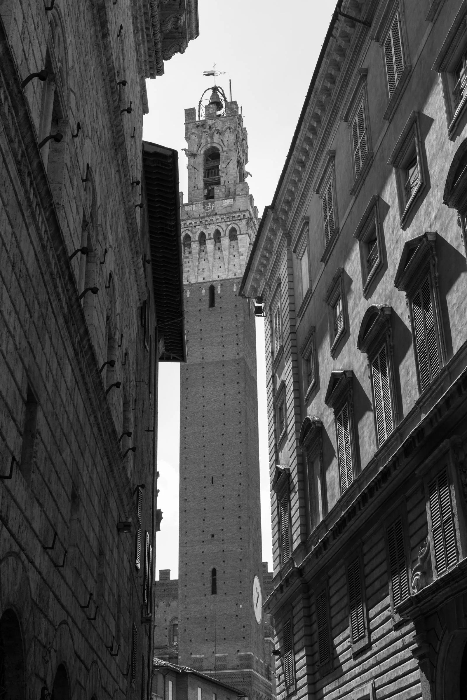Siena, Tuscany, Italy | Reid Burchell Photography