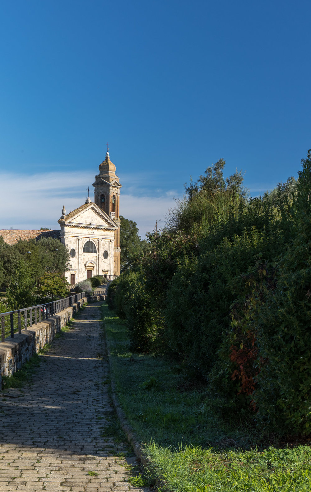 Montalcino, Tuscany, Italy | Reid Burchell Photography