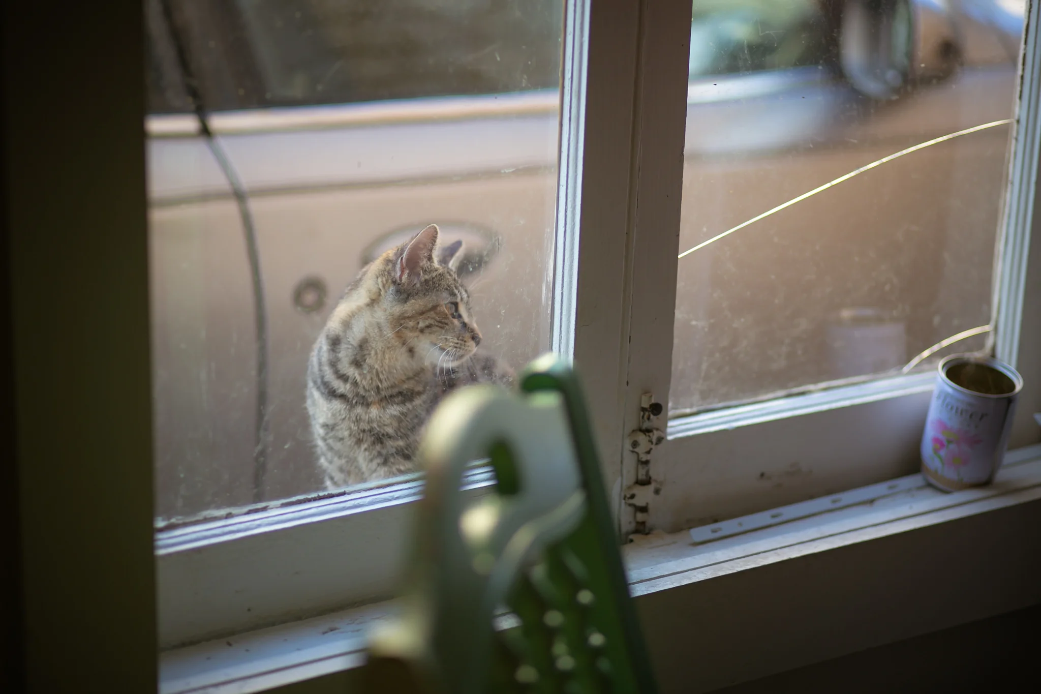 With Love, Quinntography-53.jpg