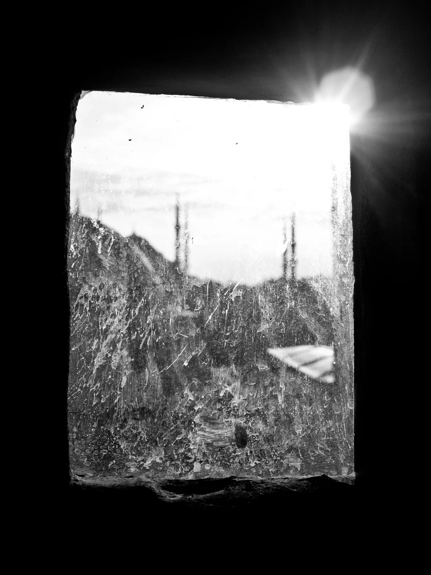 _1010806.jpg