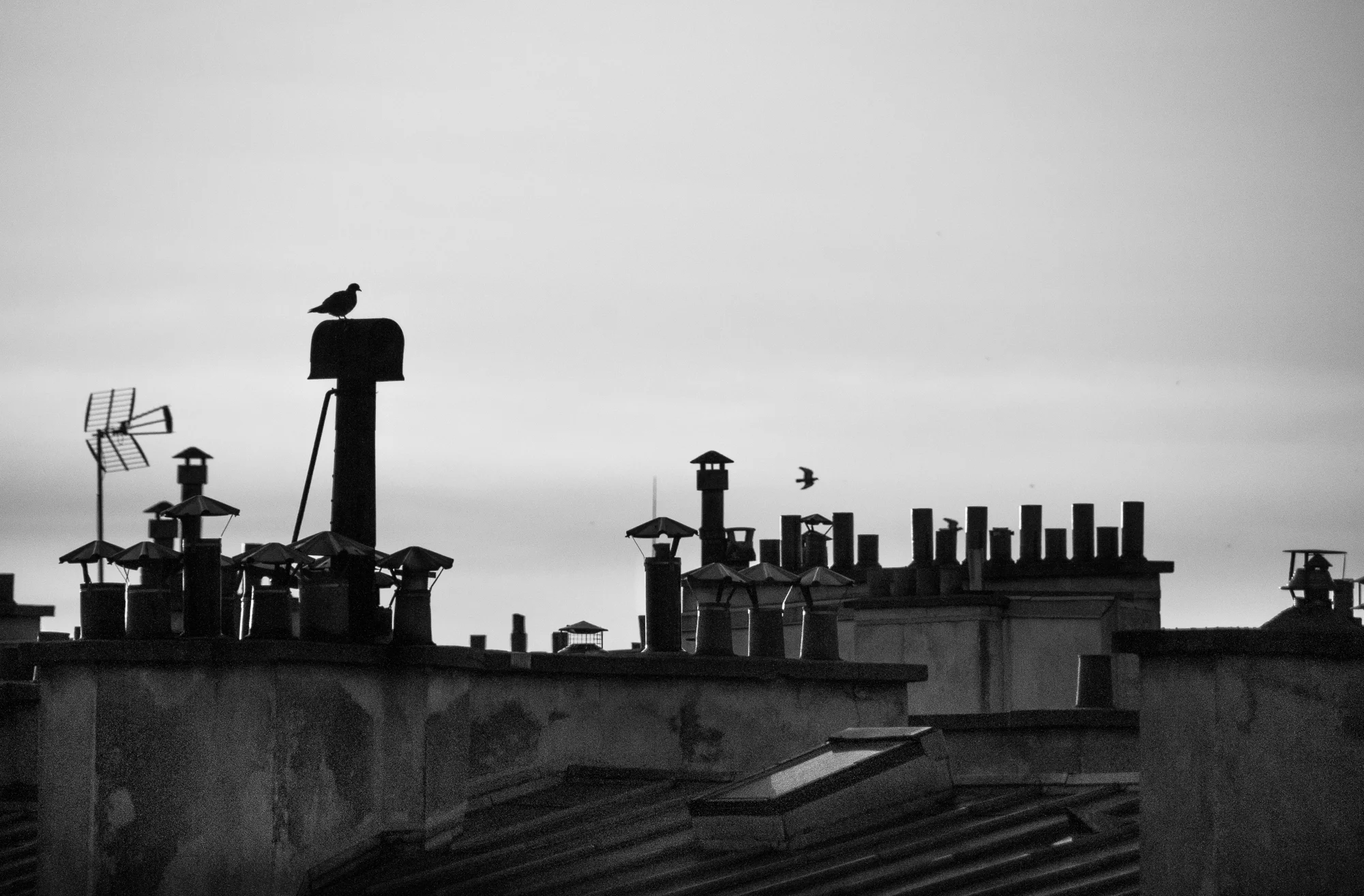 _DSC3200.jpg