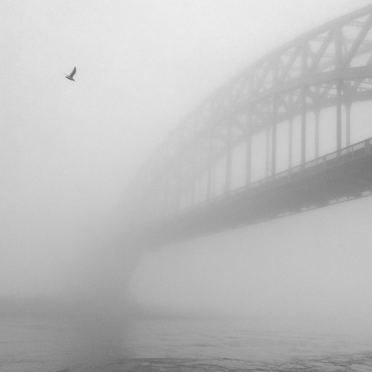 December 14, 2015. Astoria Park, NYC