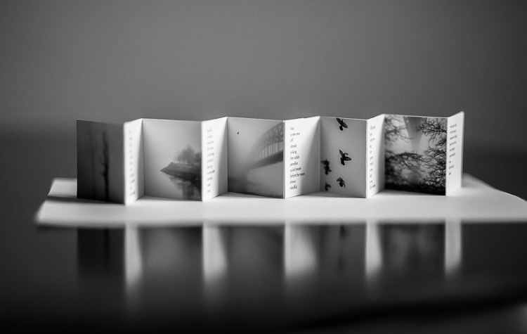'Out The Last Closer' accordion book by Carrie Crow & John Greiner