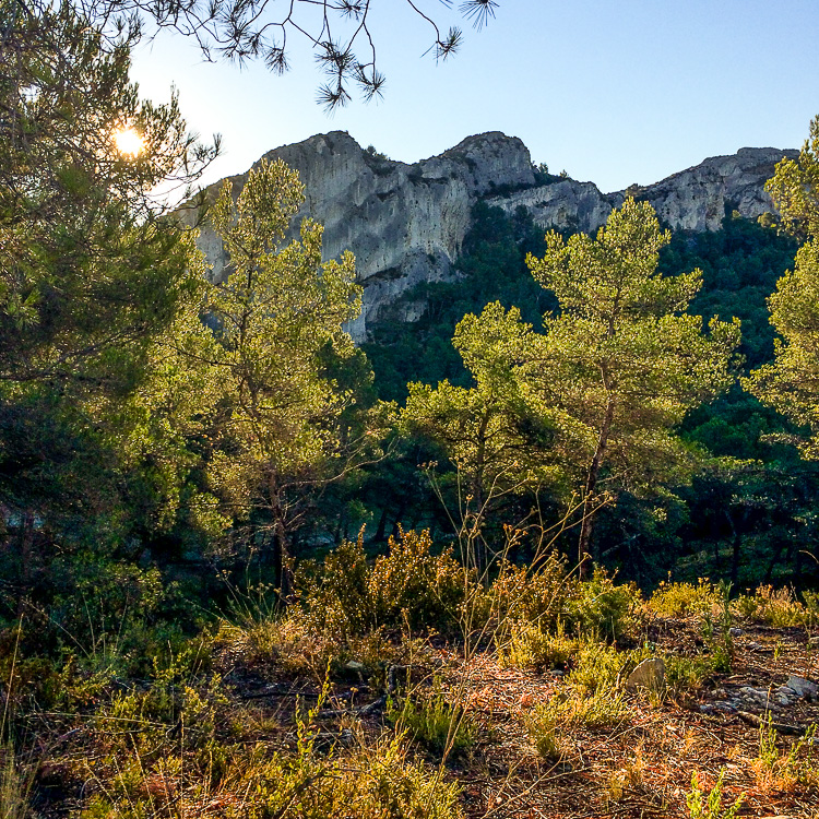 August 5, 2016. Les Alpilles, France.