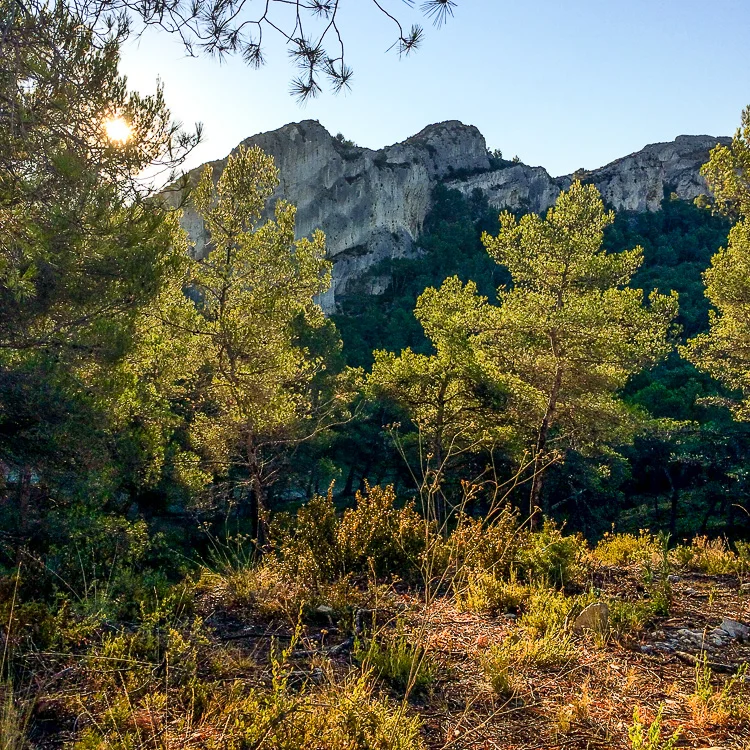 August 5, 2016. Les Alpilles, France.