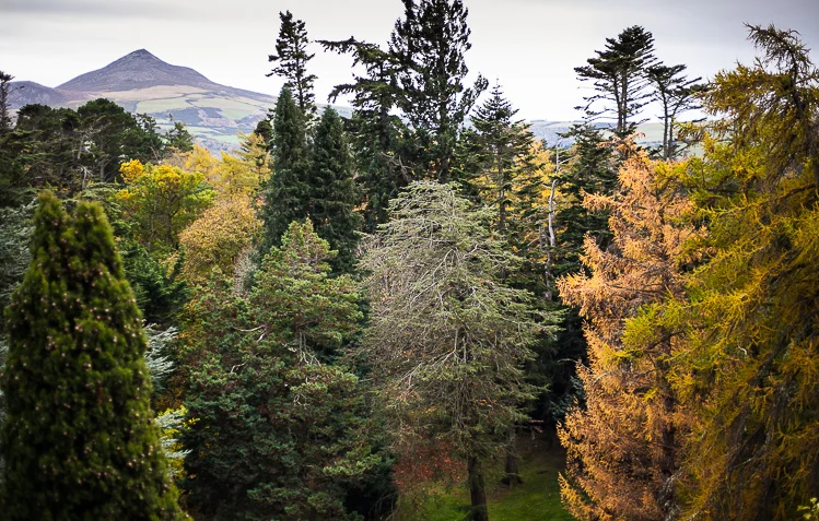 _MG_9308.jpg