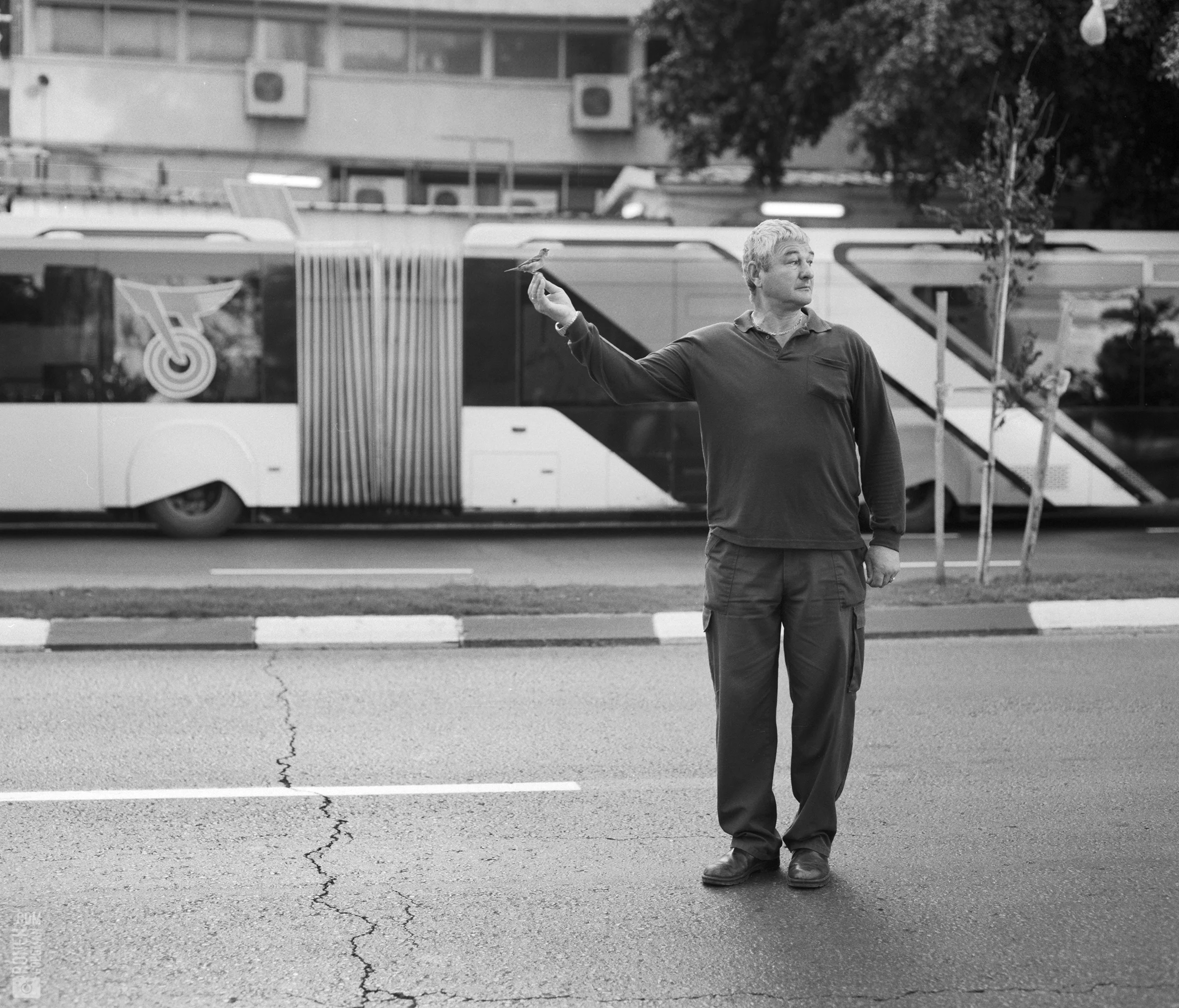 eddie bird bus copy.jpg
