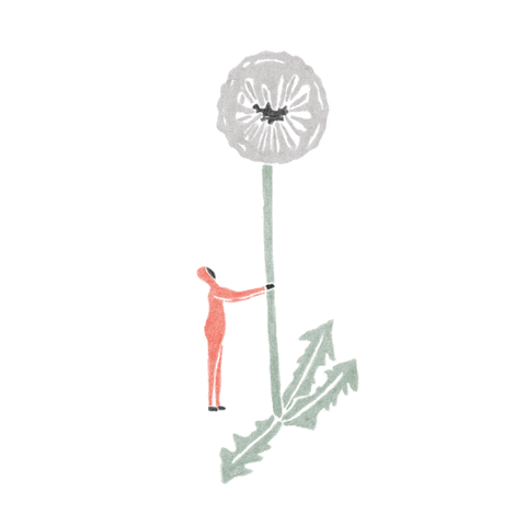 DANDELION.gif