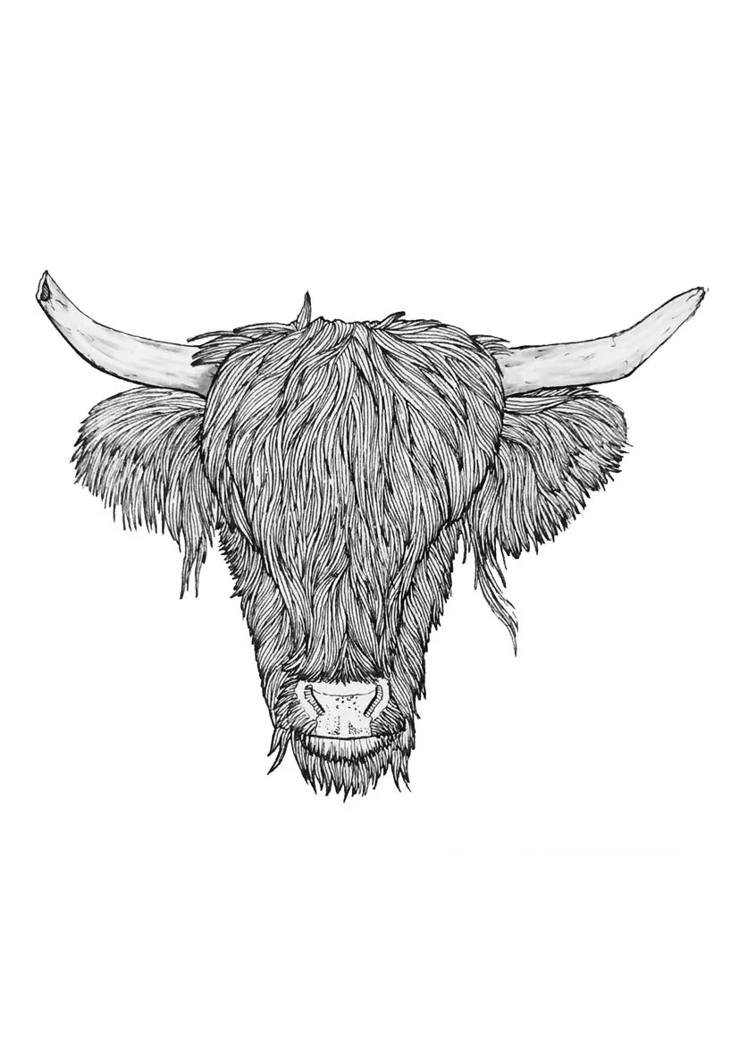cow low res.jpg