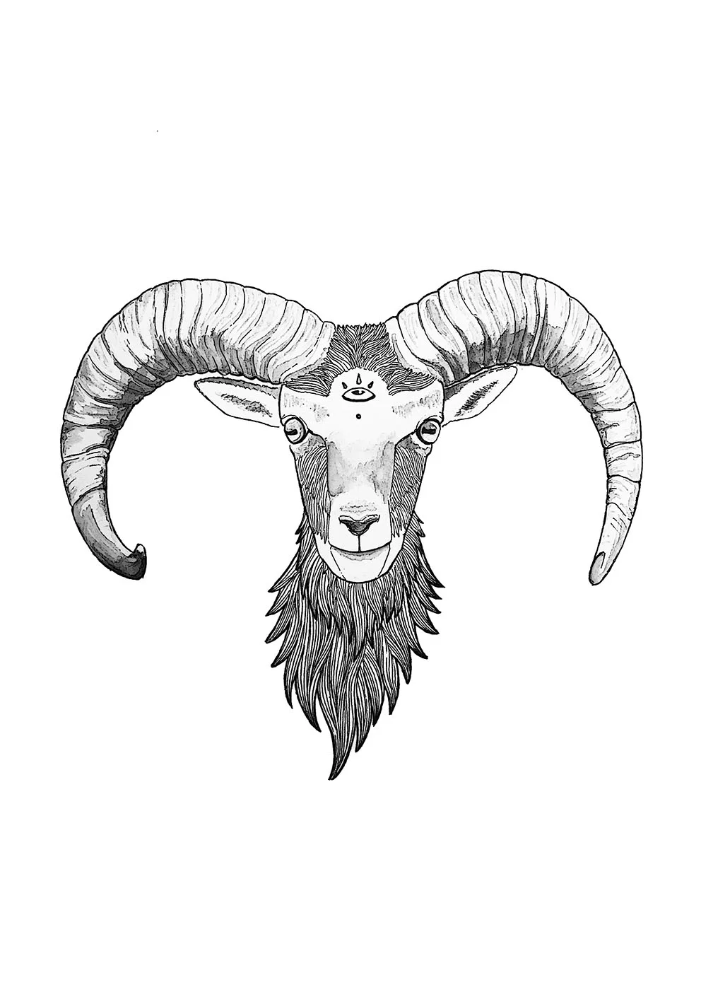 low res rams head2.jpg